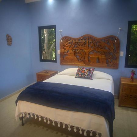 The Flycatcher Inn Retreat Hotel Santa Elena 外观 照片