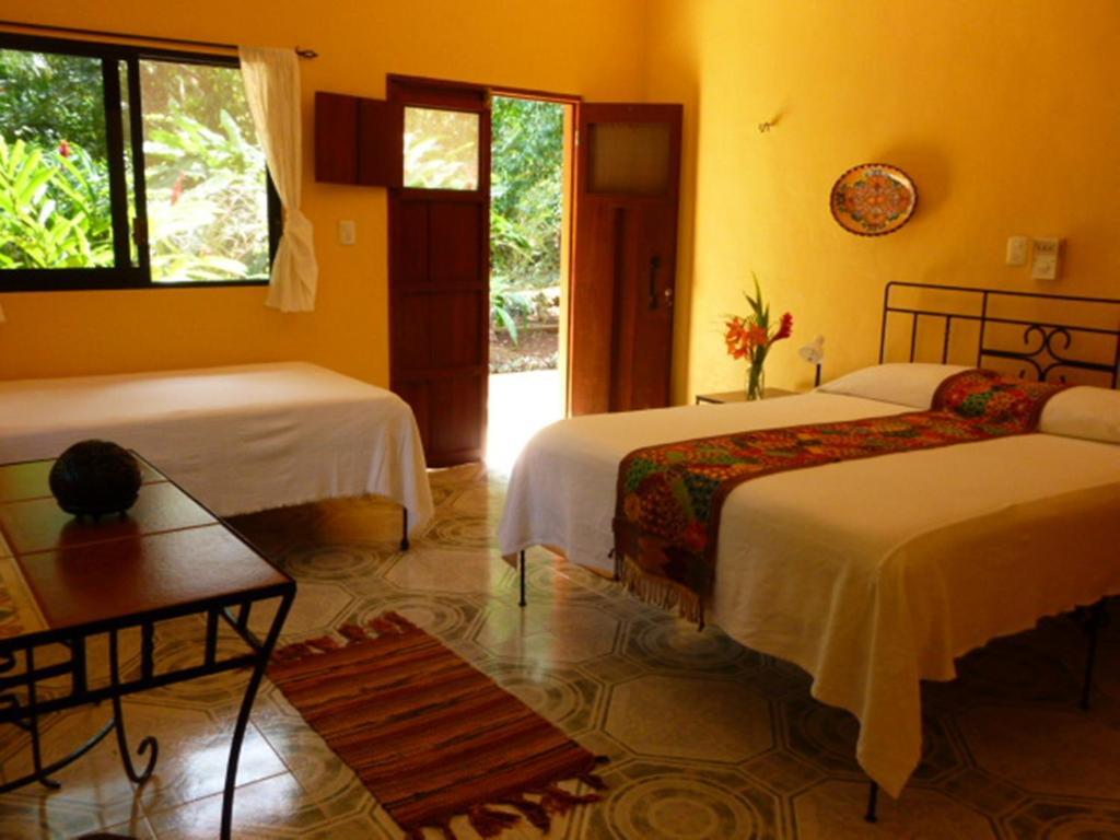 The Flycatcher Inn Retreat Hotel Santa Elena 客房 照片