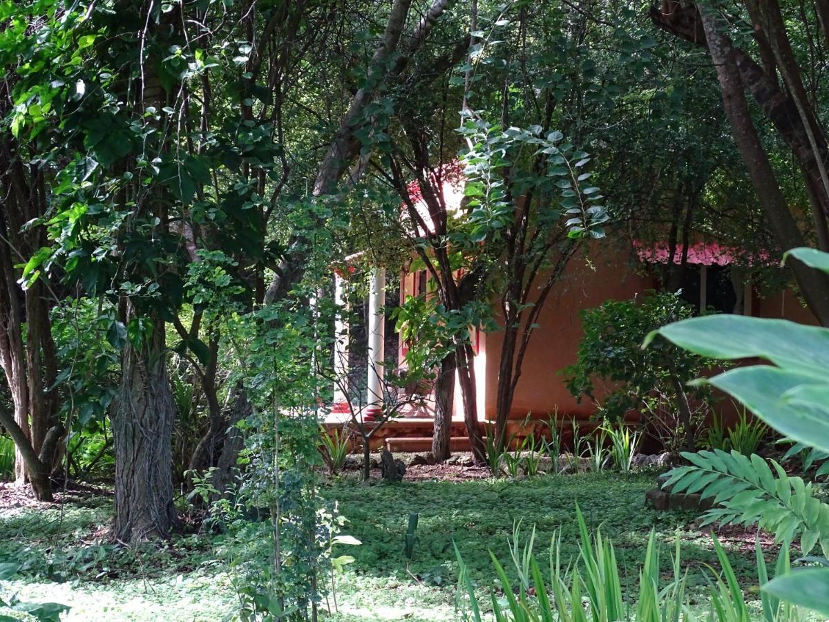 The Flycatcher Inn Retreat Hotel Santa Elena 外观 照片