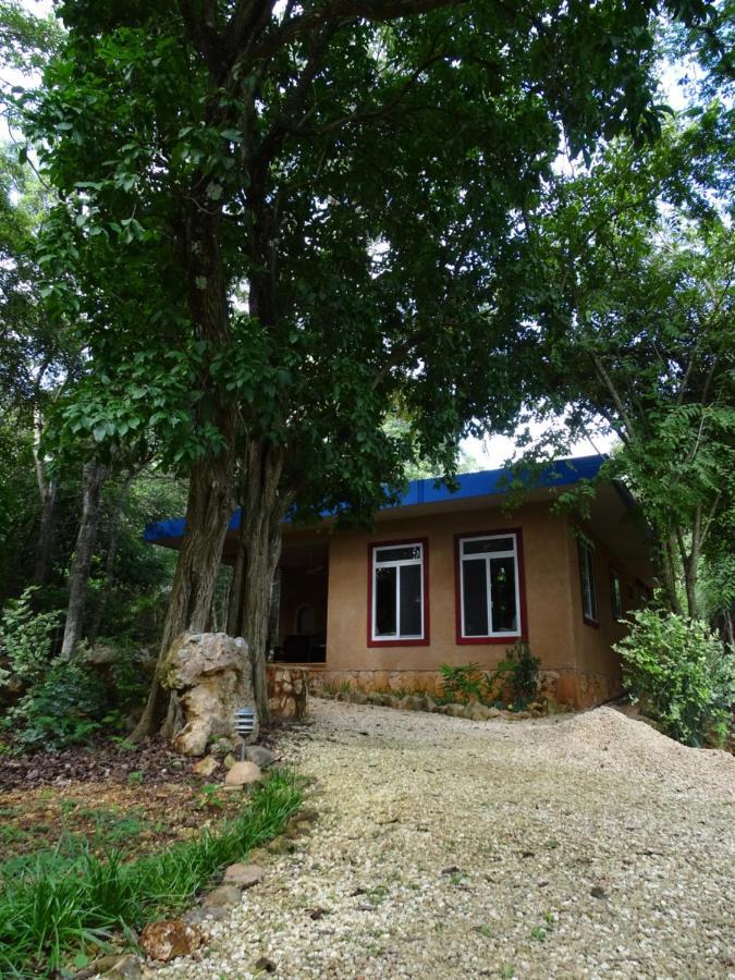 The Flycatcher Inn Retreat Hotel Santa Elena 外观 照片