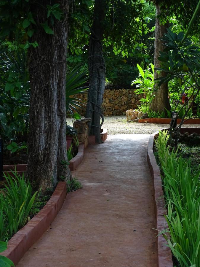 The Flycatcher Inn Retreat Hotel Santa Elena 外观 照片