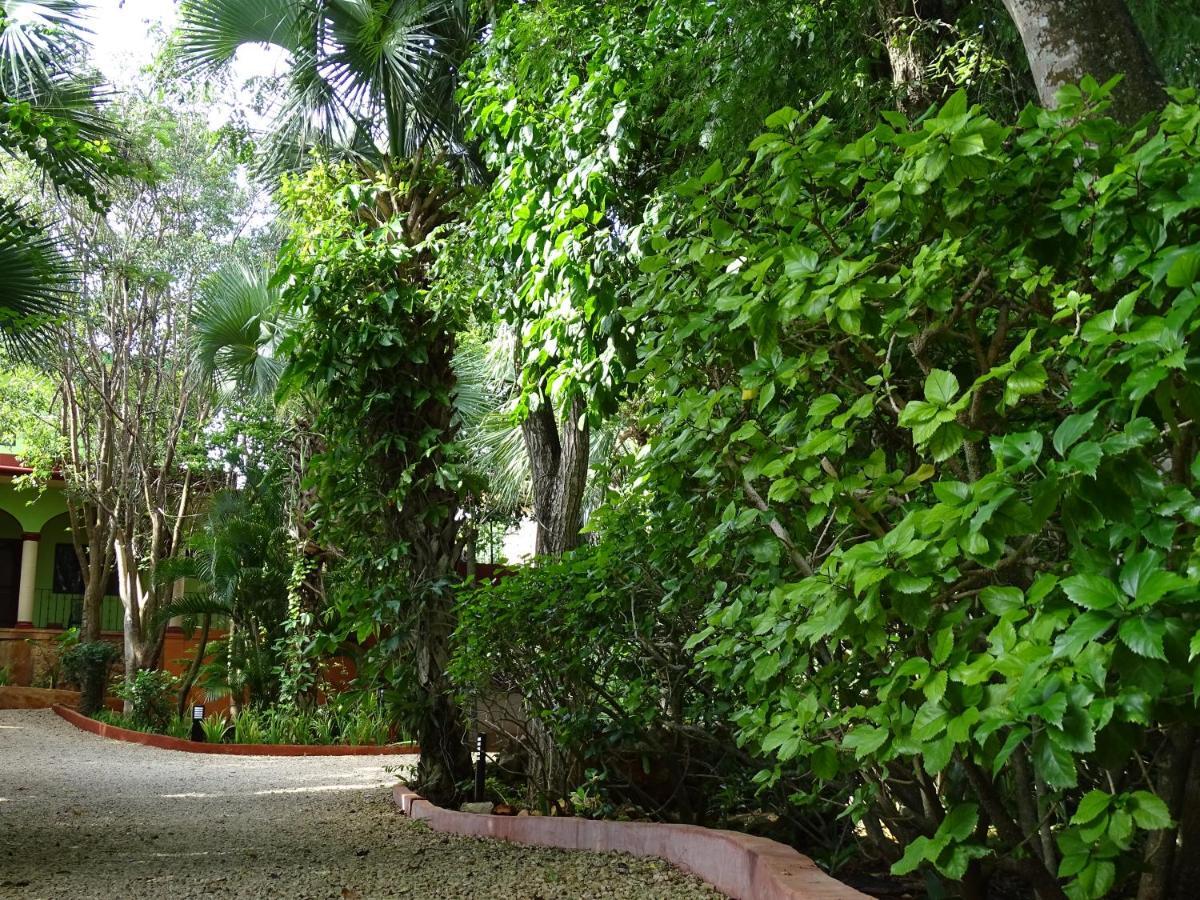 The Flycatcher Inn Retreat Hotel Santa Elena 外观 照片